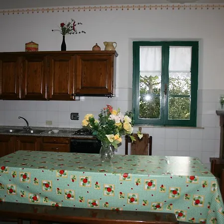 Cantagallo * Cortona